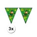 Merkloos / Sans marque Sint Patricks day Vlaggenlijn - 3x - groen - 5 meter - versiering - feestartikelen
