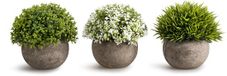Unyqoos® Set van drie kunstplanten in grijze pot