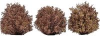 Busch-Jaeger Busch 3609 Struik Herfstbomen 40 mm