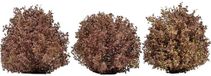 Busch-Jaeger Busch 3609 Struik Herfstbomen 40 mm