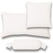 Estella 110 Jersey Taie d'oreiller - 80 x 80 cm - 100% Coton - Ivoire