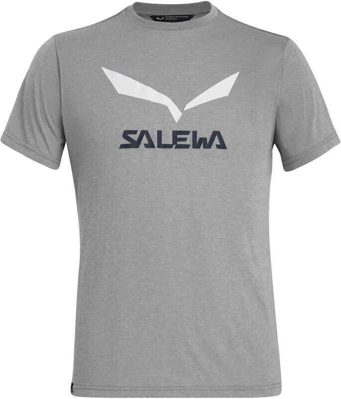 SALEWA heren Solidlogo Dry M S/S Tee blouses & T-shirts