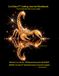 Cur10sa.X™ Coding Journal Workbook "The First Principle Way to Learn Coding": BOOK 3