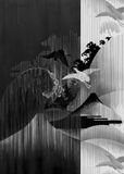 Komar Fotobehang - Yin Yang 200x280cm - Vliesbehang