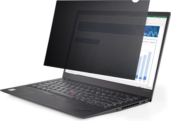 Startech Privacyfilter Voor Monitor 17.3 Inch