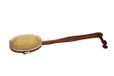 Croll & Denecke 60091 badborstel met steel.
