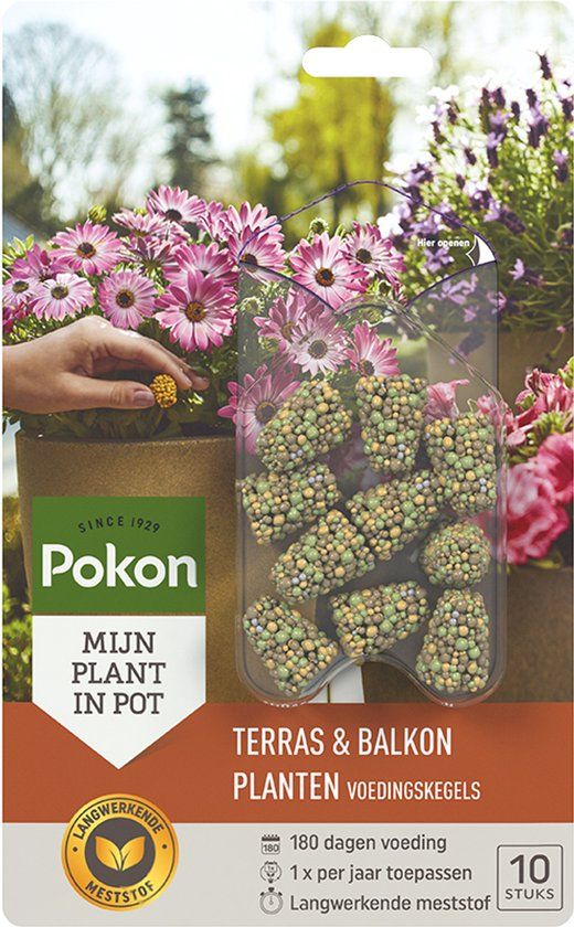 Pokon Voedingskegels voor Terras- & Balkonplanten - 10 stuks - 180 dagen voeding - Plantenvoeding