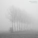 Konkurrent Marisa Anderson - Cloud Corner (LP)