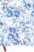 Bright Neumann Verlage Bright Flowers 2027