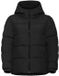 Jack Wolfskin Frozen Palace Jas Zwart M Vrouw