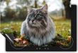Chefcare Inductie Beschermer Kat met Groene Ogen - 75x55 cm