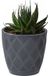 Form Plastic New Age Plantenpot - Antraciet - Kunststof - Rond - D23 x H21 cm