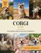 Corgi Livre: 40 Photos de Chiens et Faits à Offrir en Cadeau Éducatif aux Enfants et Adultes