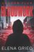 Bloodwork: Independently Published Bloodwork: YA Urban Fantasy Paperback