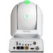 BirdDog P240W Dome IP-beveiligingscamera Wit