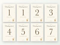Merkloos / Sans marque Ricard Milestone kaarten baby, 24 stuks A5 (beertje met ballon)
