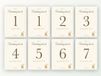 Merkloos / Sans marque Ricard Milestone kaarten baby, 24 stuks A5 (beertje met ballon)