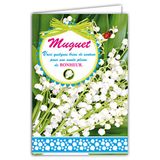 Afie 68-1039-B kaart met envelop van hout, handbeschilderd in rood, 13 witte belletjes, 1 mei, boeket bloemen voor feest, lente, hemelsblauw
