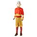 Rubies Officiële Avatar The Last Airbender Aang kinderkostuum, maat 7-8 jaar