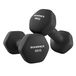 SONGMICS Haltères, lot de 2, 2 x 6 kg, hexagonales, revêtement néoprène