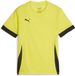 Puma TeamGoal wedstrijdshirt voor kinderen jr