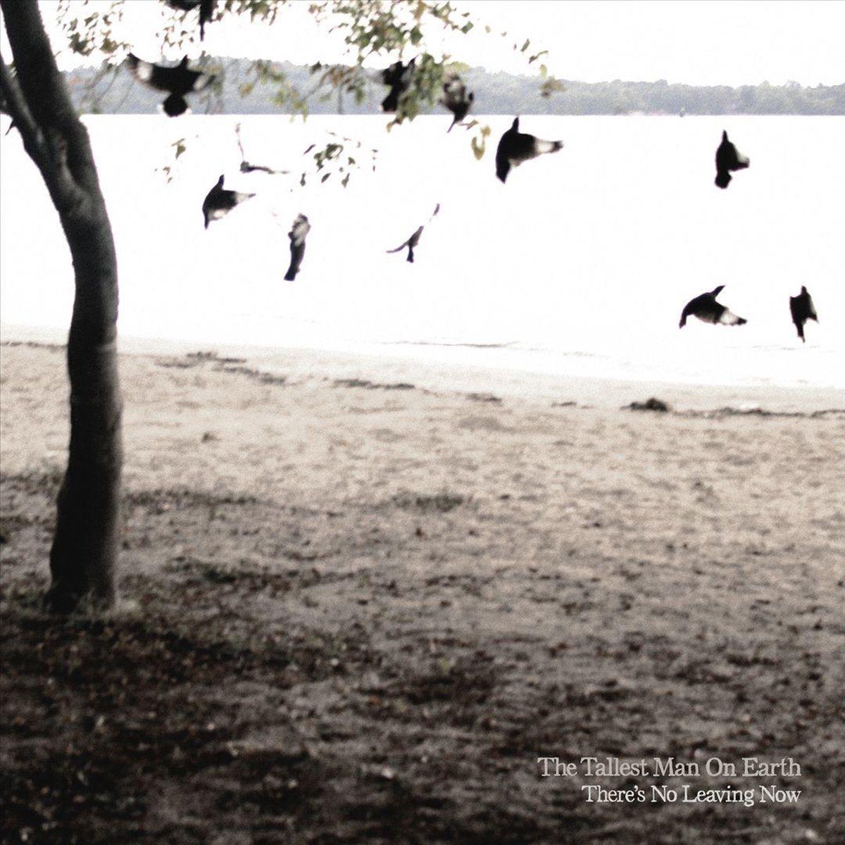 Konkurrent There's No Leaving Now (LP)