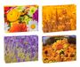 TSI Geschenkzakjes BLUMEN-MIX