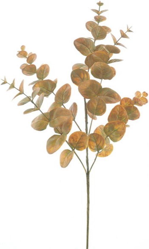 Hortus Kunsttak eucalyptus monica yellow, 63 cm