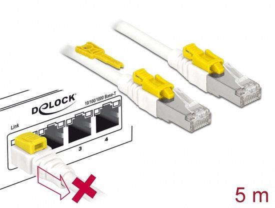 Delock Cable RJ45 Secure Cat.6A 5 m Wit