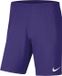 Nike Park III Sportbroek Mannen - Maat M - Paars
