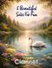 5 Woodwind Solos, Duets and Ensembles: 5 Beautiful Clarinet Solos for Fun