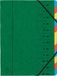 Exacompta 8x Sorteermap met vaste rug en elastosluiting - 12 indelingen - Groen - 54123E