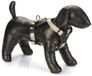 Beeztees Harnais Premium Parinca Y-Harnais - Harnais pour chien - Fermeture à clic - Avec verrou - Nylon - Gris - 80-95cmx30mm