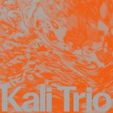 New Arts International Bv Kali Trio The Playful Abstract
