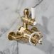 Hudson Reed Elizabeth Robinet de douche thermostatique rétro - Design exposé – 1 fonction – Or satiné