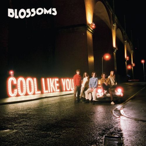 Universal Music Nederland Cool Like You - Vinyl