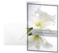 Sigel DS006 10 condoleancekaarten met witte amaryllis 17 x 11,5 cm met witte envelop