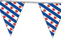 Shoppartners Bellatio Decorations Vlaggenlijn Friesland - 12x - 10 meter - kunststof - Friese vlaggetjes