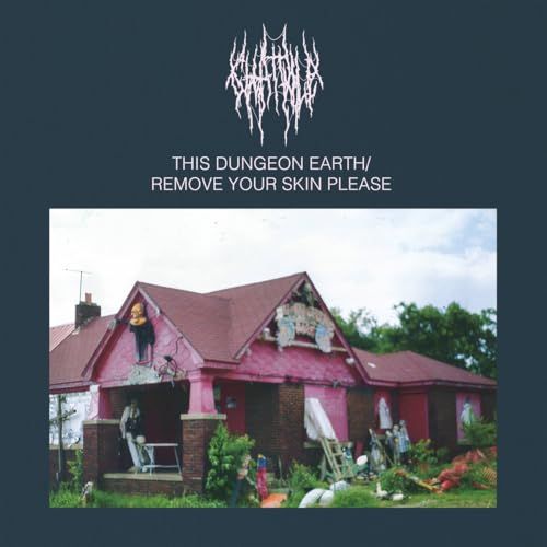 This Chat Pile This Dungeon Earth / Remove Your Skin Please (LP)