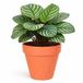Mega Collections Plantenpot - Kunststof - Oranje - Binnen/Buiten - D34xH33 cm