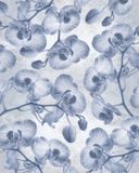 Komar Fotobehang Orchidée 200x250cm Vliesbehang