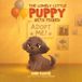 The Lonely Little Puppy Gets Picked