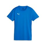 Puma Dames-shirt TeamGoal Jersey Wmn 658638