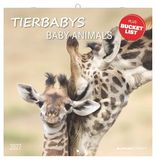 Tierbabys Neumann Verlage Tierbabys 2027 Wandkalender