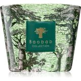 Baobab Collection Sacred Trees
