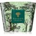 Baobab Collection Sacred Trees