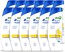Head & Shoulders 12 x Citrus Fresh Shampoo - 250ml - Lot économique