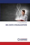 Big Lap Lambert Academic Publishing Big Data Visualization Paperback