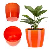 Merkloos / Sans marque KADAX Bloempot, plantenpot, ronde kunststof bloempot voor cactussen, varens, glanzende bloempot voor balkon, woning en terras, 12 cm, geel