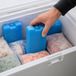 Alpina Koelelementen – 4 Stuks – 220 ml – Koelblokken voor Koelbox en Koeltas – Herbruikbaar